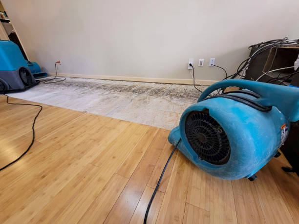 Professional Sewage Cleanup technician working in Rome, OH
